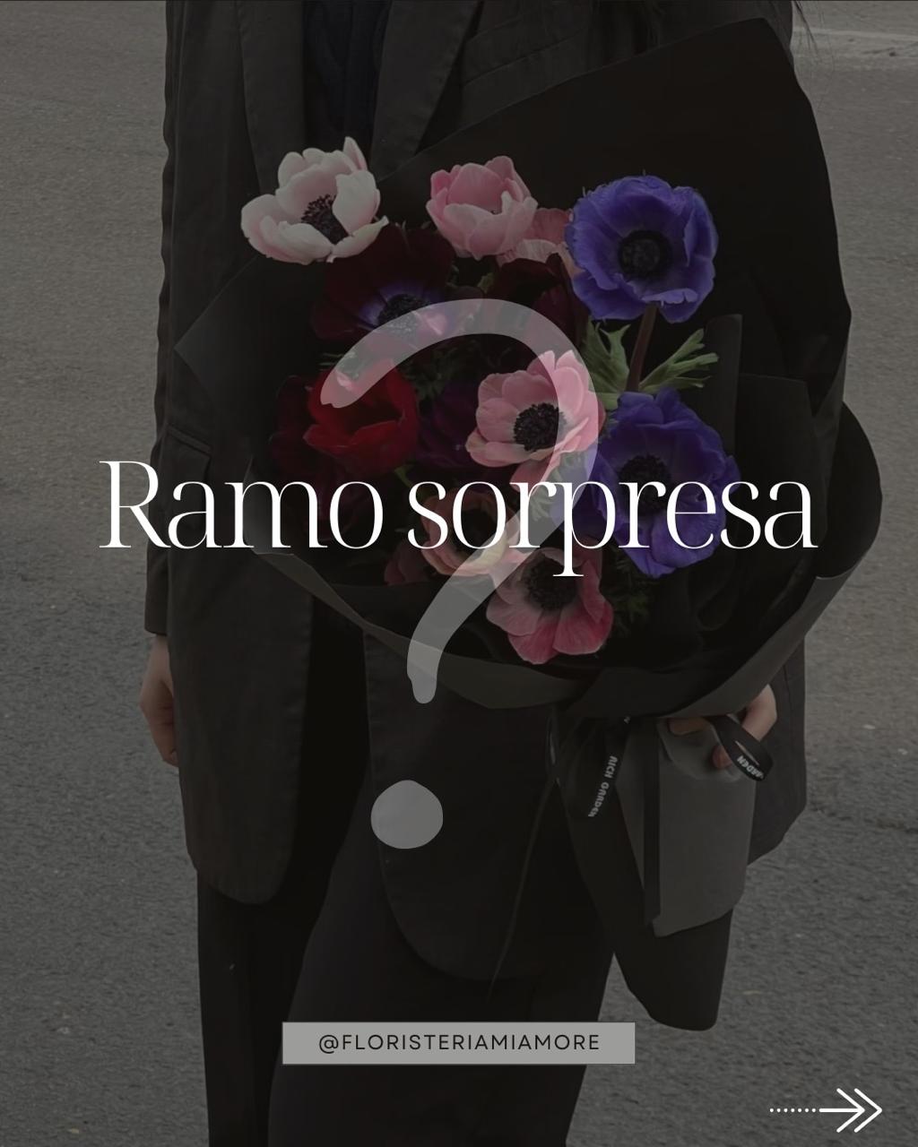 Ramo Sorpresa