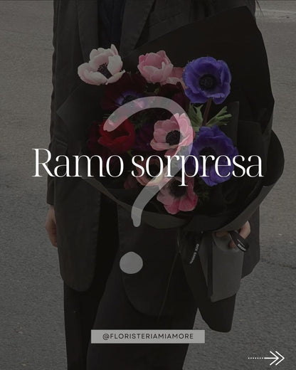 Ramo Sorpresa